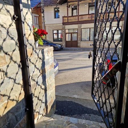 Sinaia Vecheヴィラ エクステリア 写真