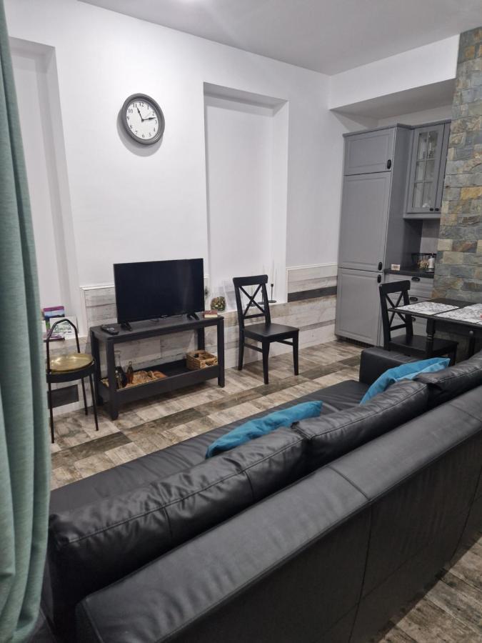 Sinaia Vecheヴィラ エクステリア 写真