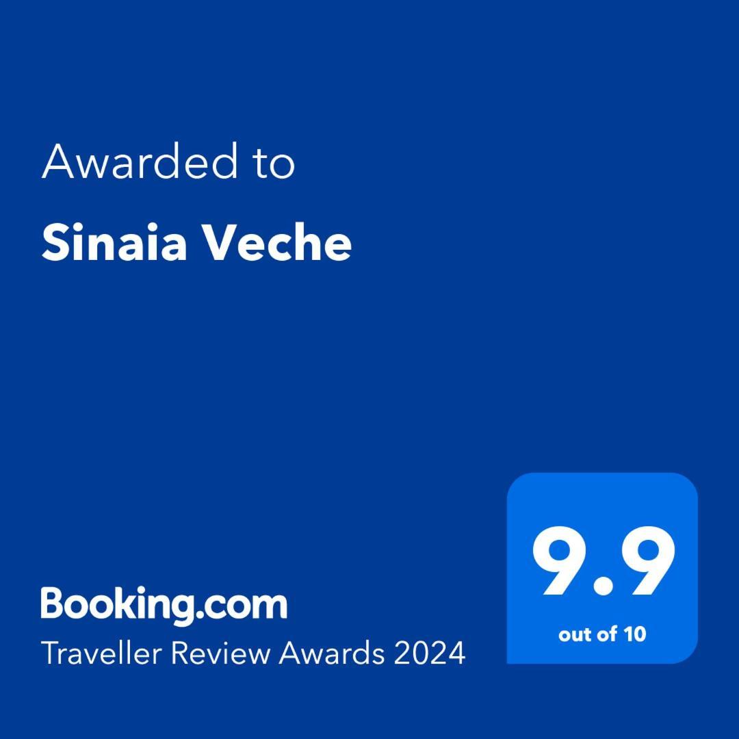 Sinaia Vecheヴィラ エクステリア 写真